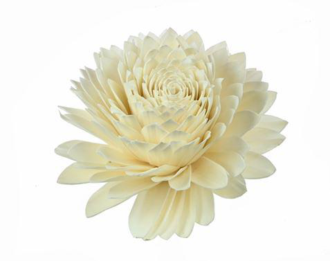 Visuel 1 du produit Tête de fleur de Sola blanche Naturalys - Ø 12 cm