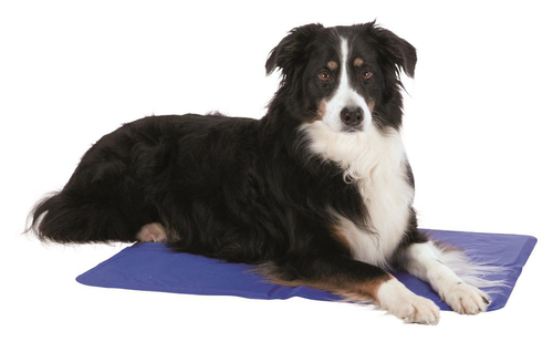 Visuel 4 du produit Tapis rafraîchissant pour chien coloris bleu Trixie - 40 x 50 cm
