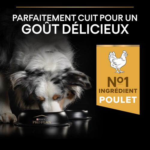 Visuel 4 du produit Croquettes pour chien chien adulte taille moyenne Proplan - 16,5 kg
