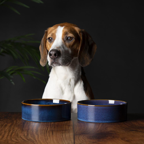 Visuel 8 du produit Gamelle pour chien en grès coloris bleu nuit Reactive Glaze Scruffs - 19 x 19 x 8 cm