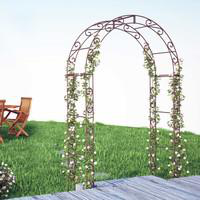 Visuel 2 du produit Arche à volute arrondie en acier marron Vitis in Situ - 1,42 x 2,24 cm