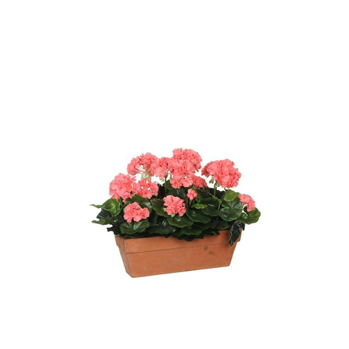Visuel 1 du produit Géranium saumon plante artificielle en jardinière Terra 39x13x40 cm