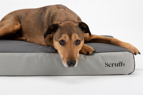 Visuel 7 du produit Couchage orthopédique pour chien coloris gris Scruffs ArmourDillo Orthopaedic - Taille XL 116 x 75 x 15 cm