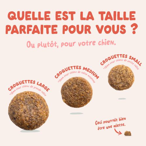 Visuel 6 du produit Croquettes pour chien senior au poulet et au saumon sans céréales Edgard & Cooper - 2,5 kg