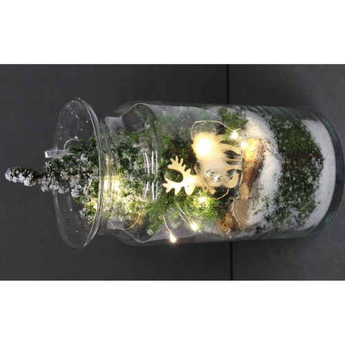 Visuel 1 du produit Terrarium de noël lumineux décor cerf - La composition