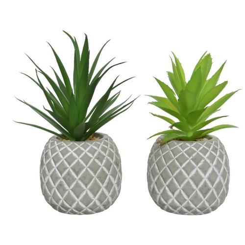 Visuel 1 du produit Pot succulente ananas artificiel coloris vert avec pot en bÃ©ton - 9 x 9 x 18 cm