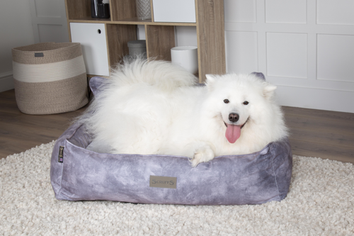 Visuel 8 du produit Corbeille pour chien gris Kensington Scruffs – Taille M