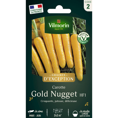Visuel 1 du produit Sachet de semences potagères graines de carotte Goldnugget HF1 Graines d'Exception