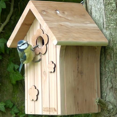 Visuel 2 du produit Nichoir le poupon pour mésanges bleues en bois 19 x 16 x 26 cm