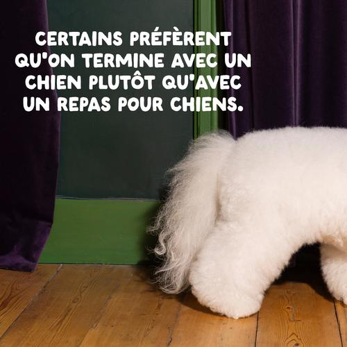 Visuel 11 du produit Croquettes pour chien adulte au saumon sans céréales Edgard & Cooper - 12 kg