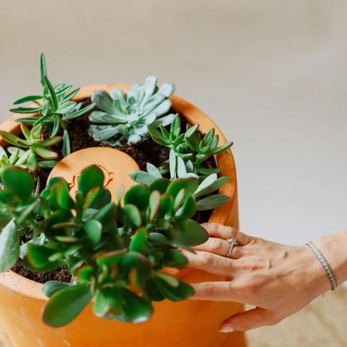 Visuel 7 du produit Composteur Flower 1 étage coloris marron en terre cuite terracotta Ceercle - 18 kg