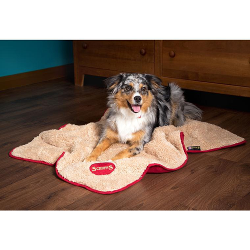 Visuel 11 du produit Plaid pour chien coloris multicolore Scruffs Snuggle - 110 x 72,5 cm