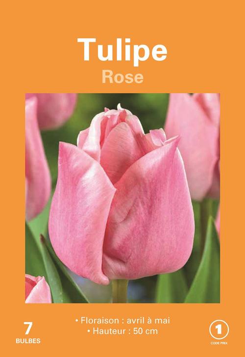 Visuel 1 du produit Bulbes de fleurs Tulipe rose botanic® - 7 bulbes