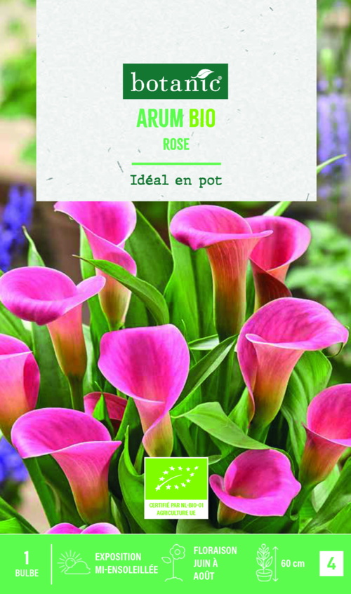 Visuel 1 du produit Bulbe de fleurs Arum bio rose botanic® – 1 bulbe