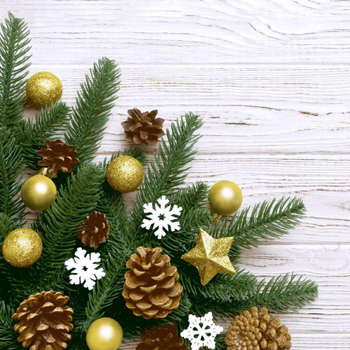 Visuel 1 du produit 20 serviettes 3 plis Pine & Stars - 33 x 33 cm