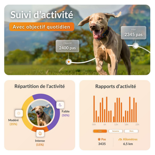 Visuel 4 du produit Collier GPS pour chien coloris orange Weenect XT