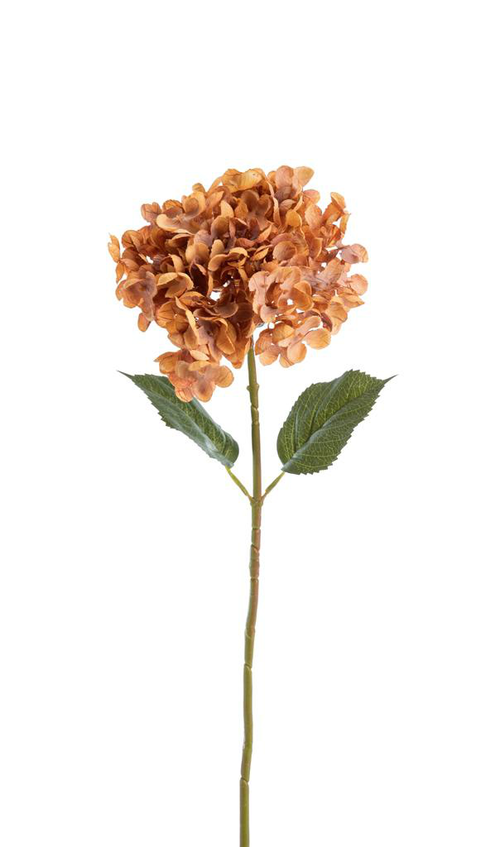 Visuel 1 du produit Fleur artificielle en papier hortensia coloris orange - H 65 cm