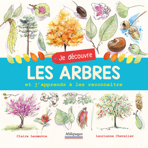 Visuel 1 du produit Livre "Je découvre les arbres" Éditions Millepages
