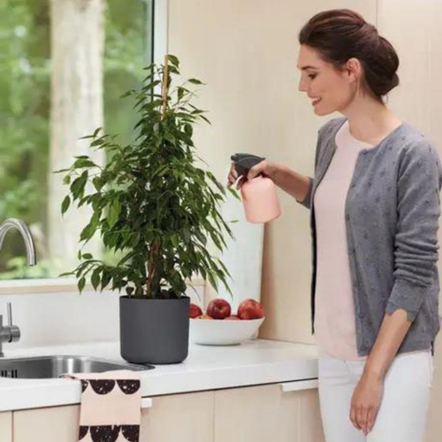 Visuel 3 du produit Cache-pot anthracite Elho B.for Soft - Ø 16 cm