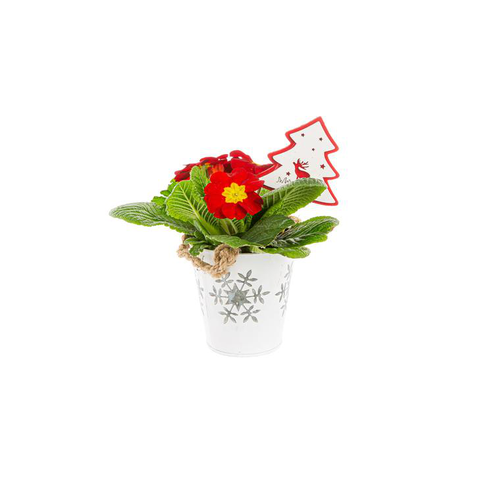 Visuel 1 du produit Primula Pot Zinc Focon blanc