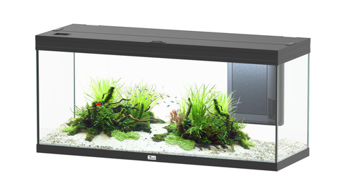 Visuel 1 du produit Aquarium coloris noir Aquatlantis Volga LED 2.0 240 L - 122 x 42 x 55 cm