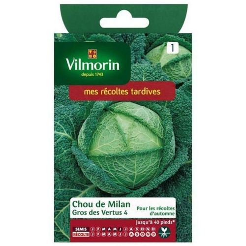 Visuel 1 du produit Graines de chou de Milan gros des vertus Vilmorin - graines à semer