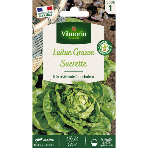 Visuel 1 du produit Sachet de laitue Grasse Sucrette