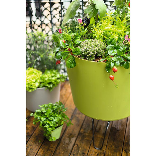 Visuel 2 du produit Fumier lombricomposté botanic® - 15 kg