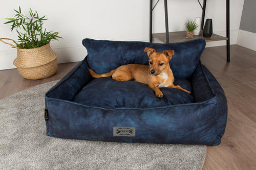 Visuel 8 du produit Corbeille pour chien bleu Kensington Scruffs – Taille M