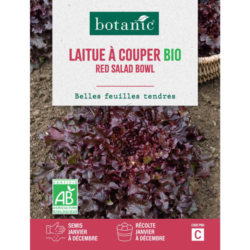 Visuel 1 du produit Graines de laitue à couper red salad bowl bio botanic® - graines à semer