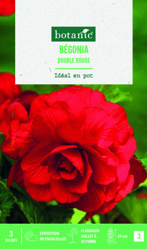 Visuel 1 du produit Bulbes de fleurs Bégonia double rouge botanic® - 3 bulbes