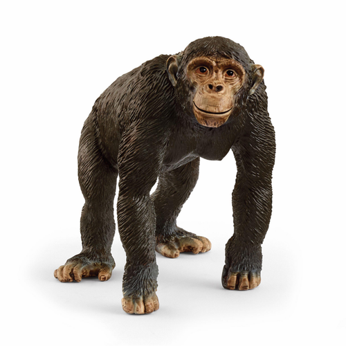 Visuel 1 du produit Figurine Chimpanzé Schleich® - 4,7 x 6,5 x 8,3 cm