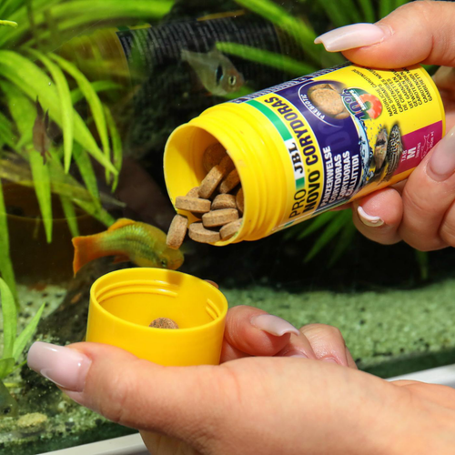 Visuel 5 du produit Aliment en comprimés pour corydoras JBL Pronovo Tab M – 100 ml