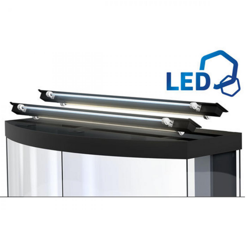 Visuel 5 du produit Aquarium complet chêne clair, version LED - JUWEL AQUARIUM Vision 450 - 450L