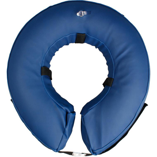 Visuel 1 du produit Collerette gonflable pour chien coloris bleue taille M - Ø25/40 cm