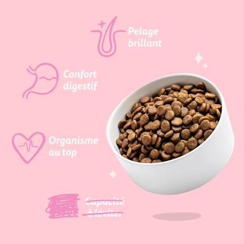 Visuel 7 du produit Croquettes pour chiot au canard et au poulet sans céréales Edgard & Cooper - 7 kg