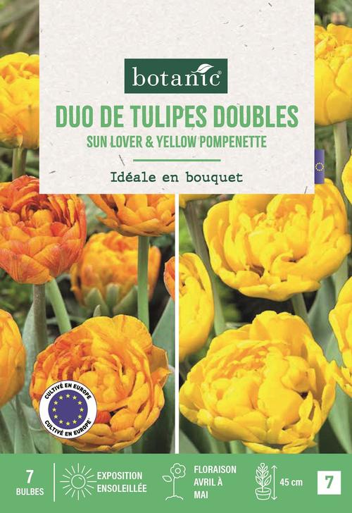 Visuel 1 du produit Bulbes de fleurs Tulipe double duo yellow orange jaune orange botanic® - 7 bulbes