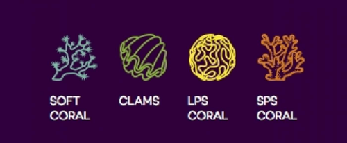 Visuel 2 du produit Solution d'ajustement de dureté KH - liquide, 250ml - AQUAFOREST KH Plus