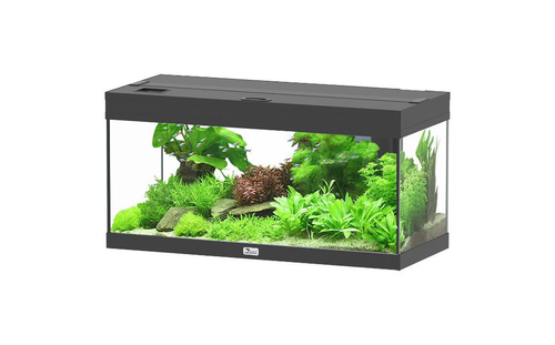 Visuel 1 du produit Meuble pour aquarium en bois coloris gris foncé 3 portes Aquatlantis Sublime Ultra 150 - 150 x 50 x 83 cm