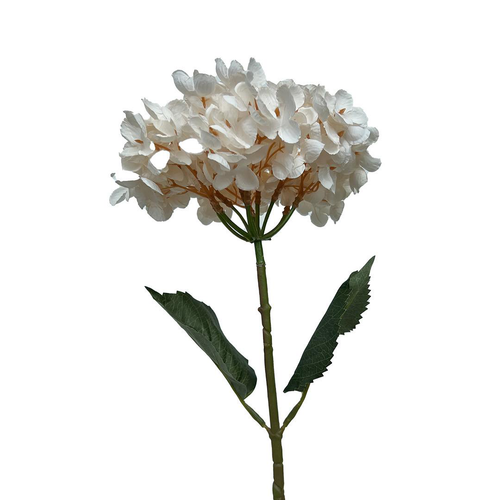 Visuel 1 du produit Tige d’hortensia blanche en papier aspect fleur séchée Naturalys - 65 cm