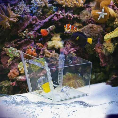 Visuel 5 du produit Piège à poissons, AQUA MEDIC Fish Trap