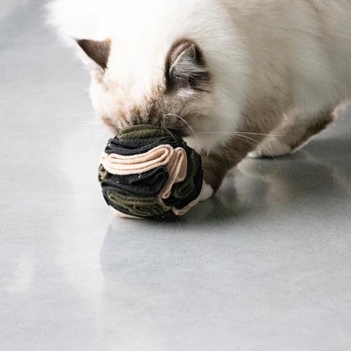 Visuel 4 du produit Jouet pour chat coloris multicolore Balle à friandises D&D Home Simon