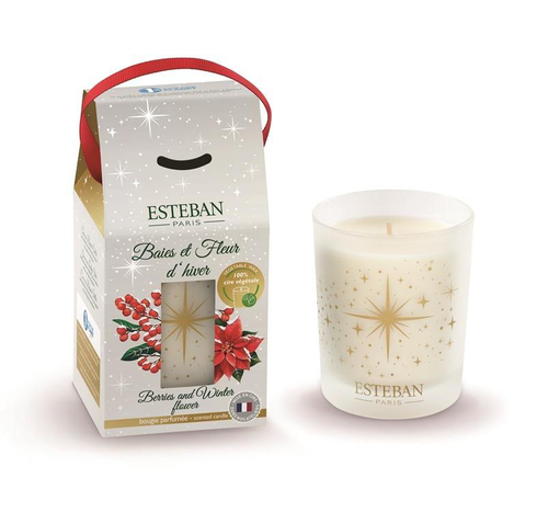 Visuel 1 du produit Bougie parfumée Esteban Baies et fleurs d’hiver - 180 g