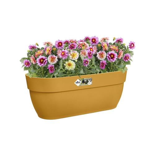 Visuel 4 du produit Pot easy hanger en plastique recyclé coloris jaune miel Elho Vibia Campana grand modèle - 26,5 x 24,1 x 24,1 cm