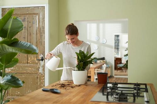 Visuel 2 du produit Self-watering insert d’arrosage automatique living noir Elho - 21 cm