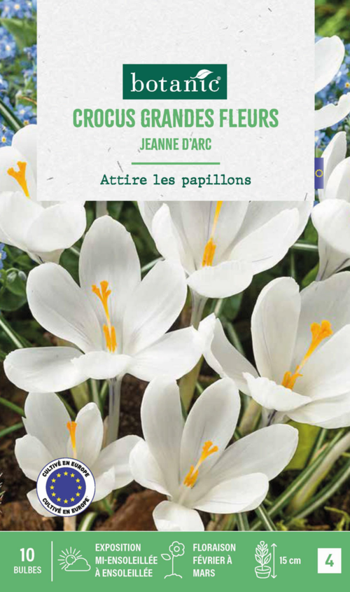 Visuel 1 du produit Crocus Jeanne d'Arc en mélange botanic® - 10 bulbes