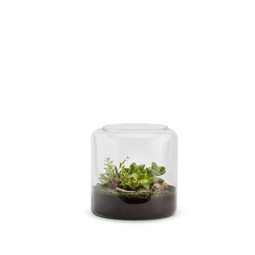 Visuel 1 du produit Terrarium Bulle de Nature Mia Succulente en verre transparent Naturalys taille S - Ø 19 x 20 cm