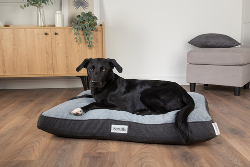 Visuel 6 du produit Couchage orthopédique pour chien coloris gris Scruffs Harvard - Taille L 100 x 70 x 12 cm