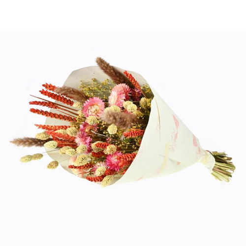 Visuel 1 du produit Bouquet de fleurs séchées Dandy coloris rose et orange - H 50 cm