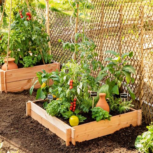 Visuel 6 du produit Potager carré en bois de sapin PEFC - 90 x 90 x 16 cm